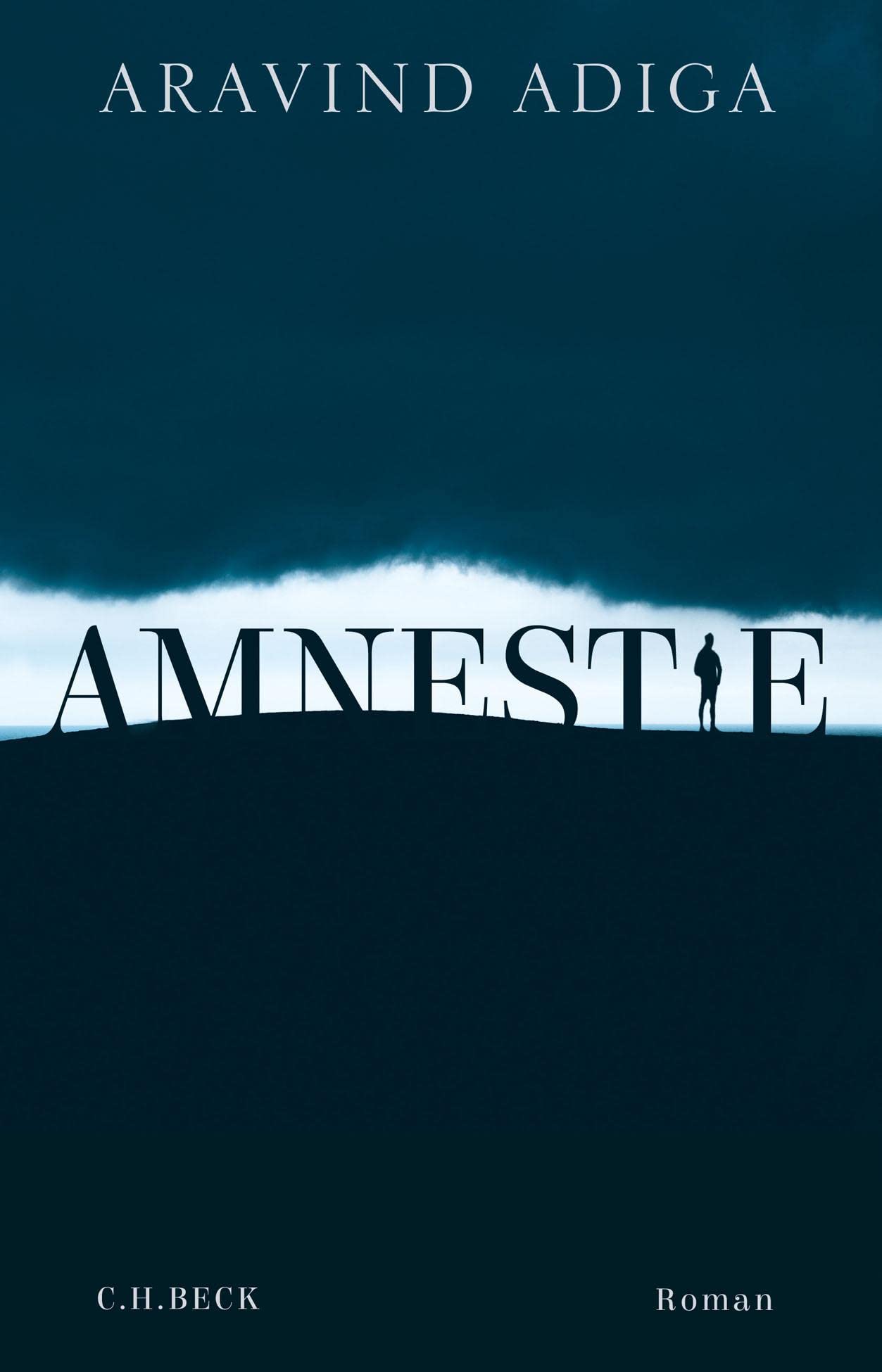 Amnestie Contemporary literature Books