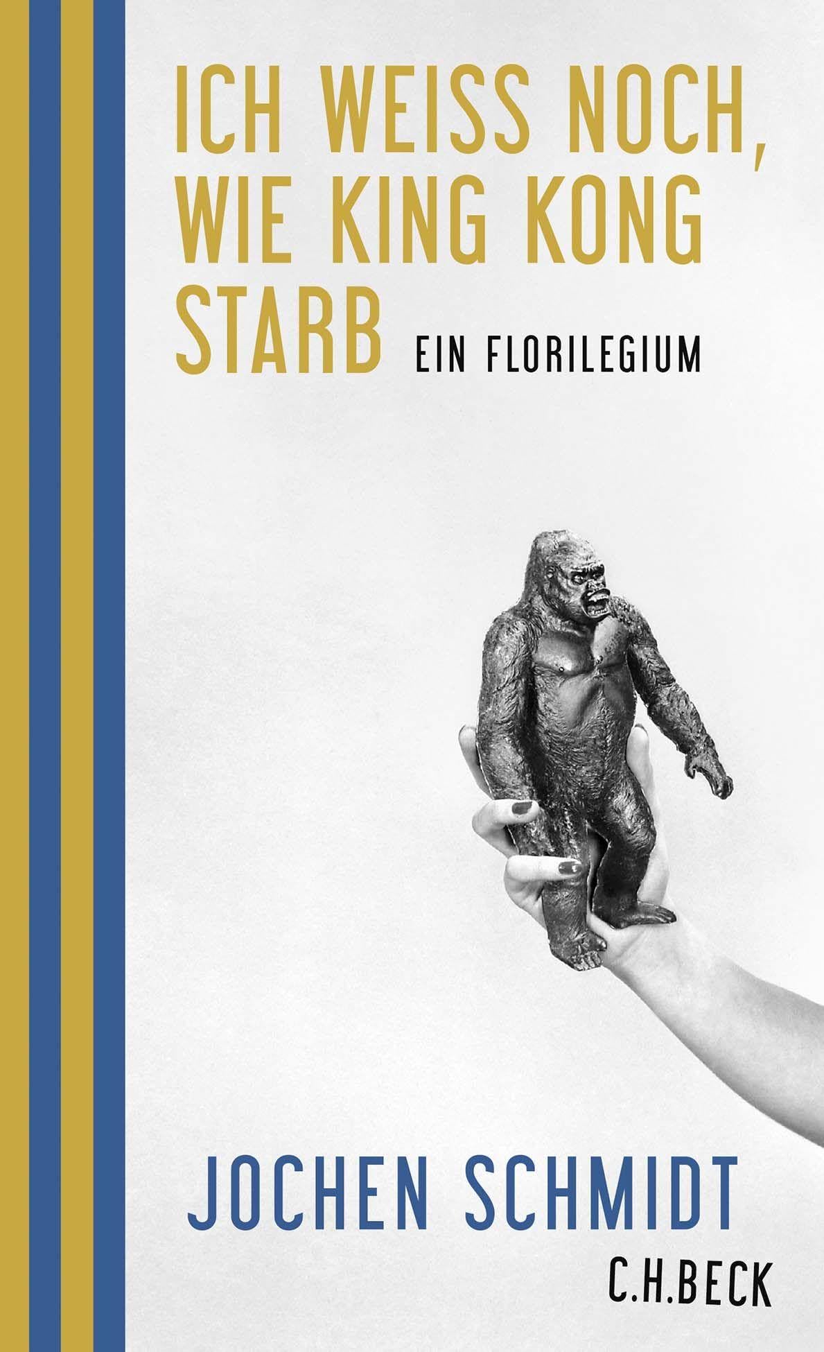 Ich weiß noch, wie King Kong starb Essays & Short Stories