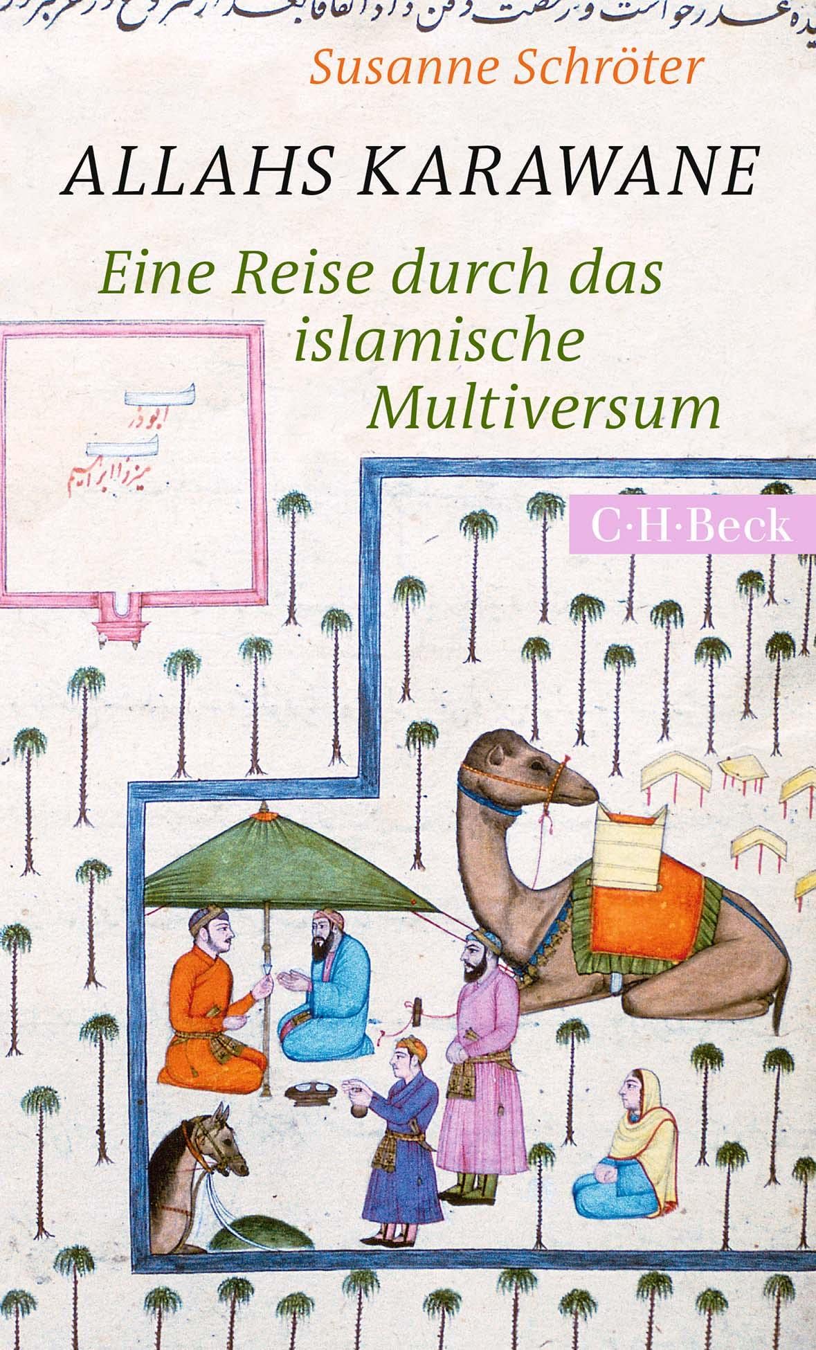 Allahs Karawane Politics & History books