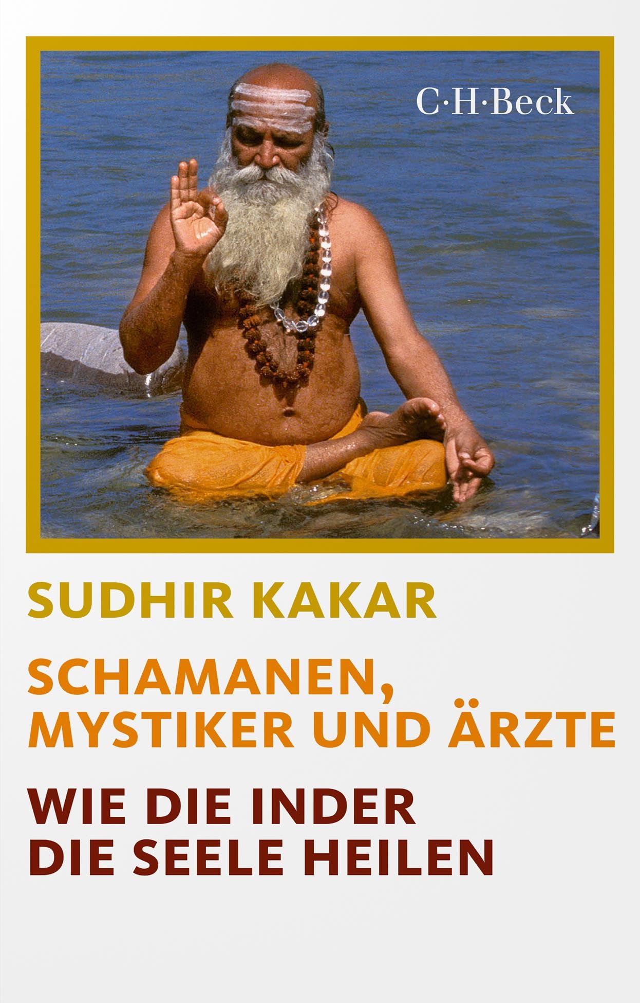 Schamanen, Mystiker und Ärzte: Wie die Inder die Seele heilen (Beck Paperback) Medicine