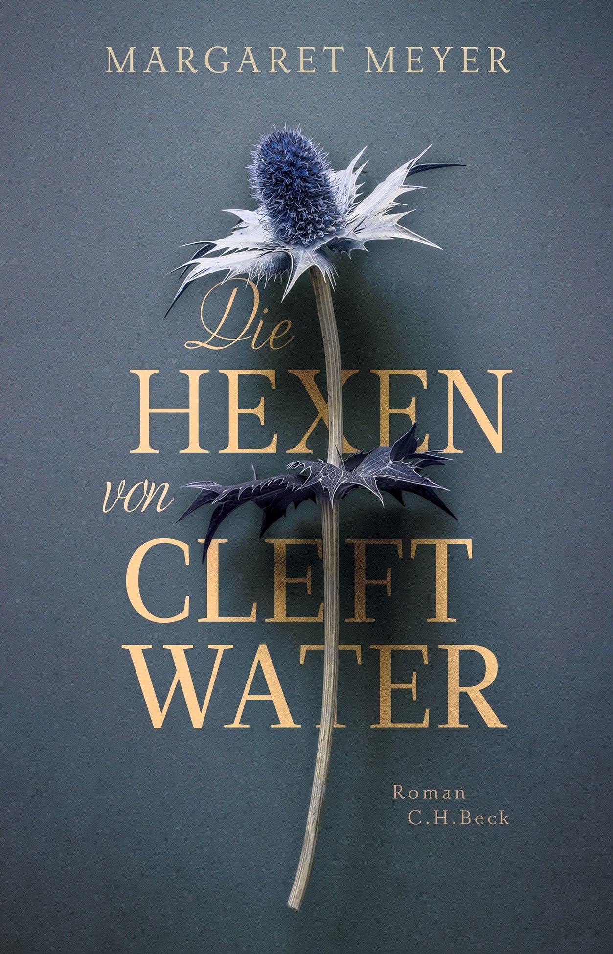 Die Hexen von Cleftwater Contemporary literature Books
