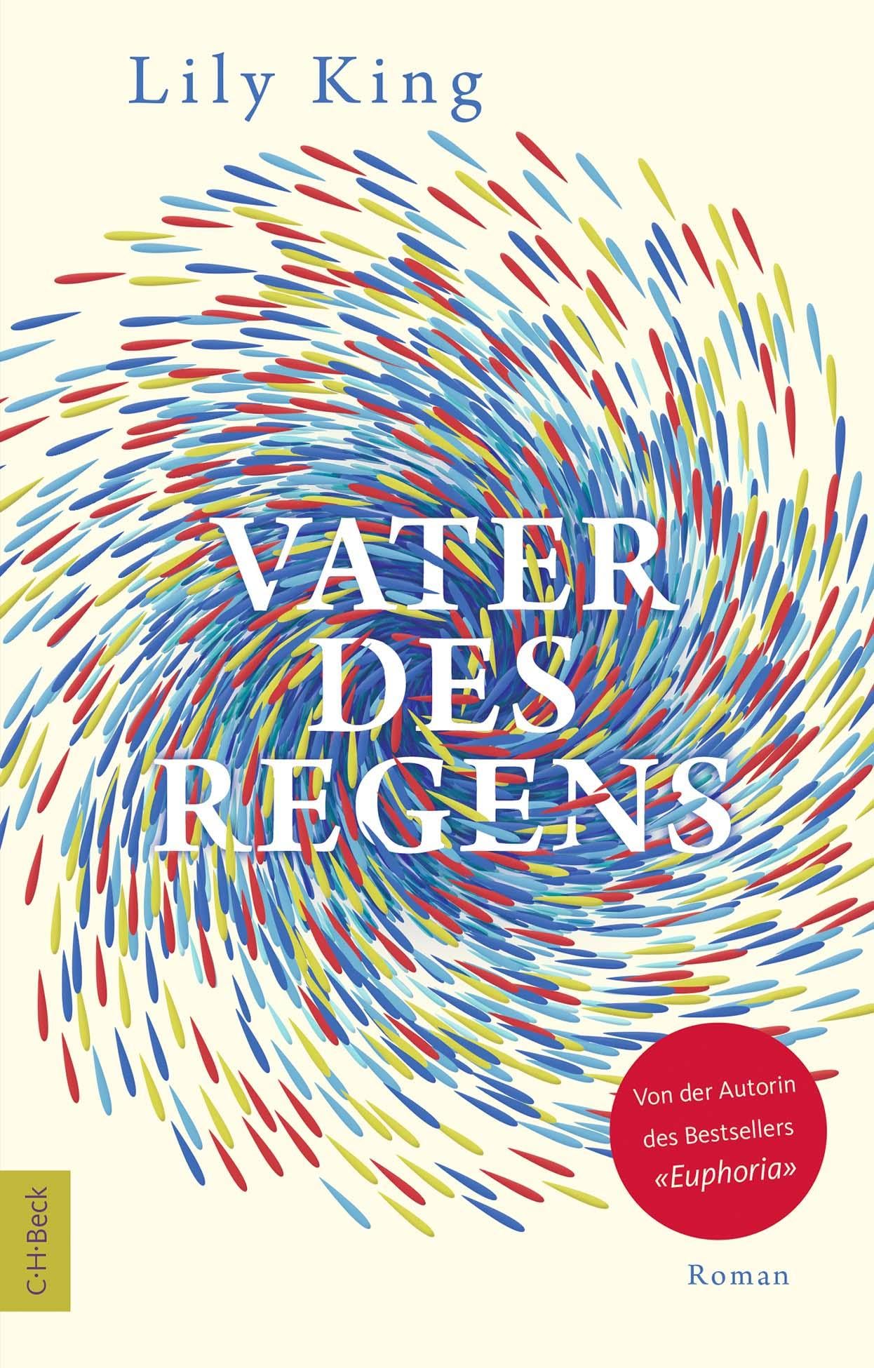 Vater des Regens: Roman Contemporary literature