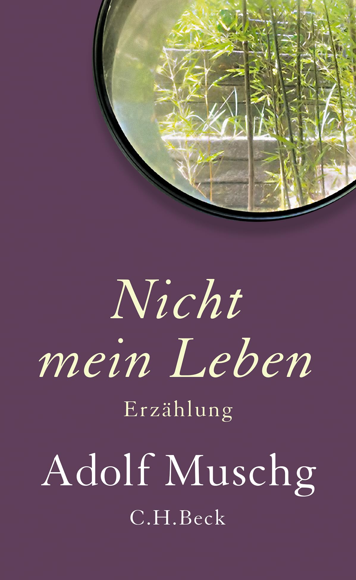 Nicht mein Leben Essays & Short Stories