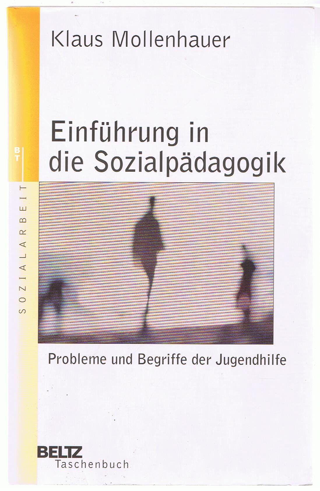 Einführung in die Sozialpädagogik: Probleme und Begriffe der Jugendhilfe (Beltz Taschenbuch / Soziale Arbeit) Social Sciences