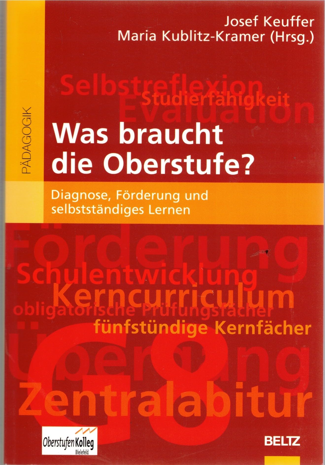Was braucht die Oberstufe?: Diagnose, Förderung und selbstständiges Lernen (Beltz Pädagogik) Politics & History