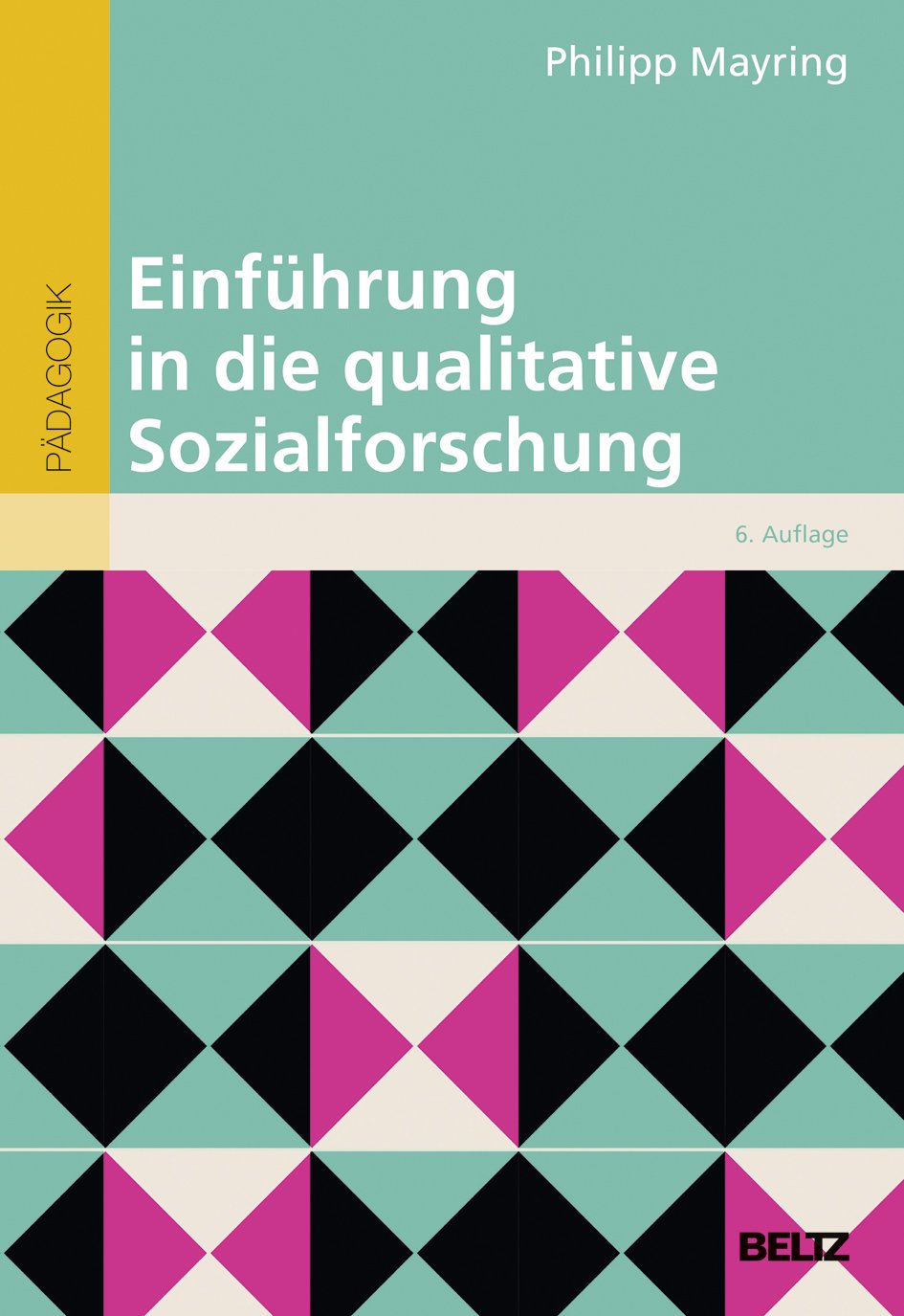 Einführung in die qualitative Sozialforschung (Beltz Studium) Natural Sciences