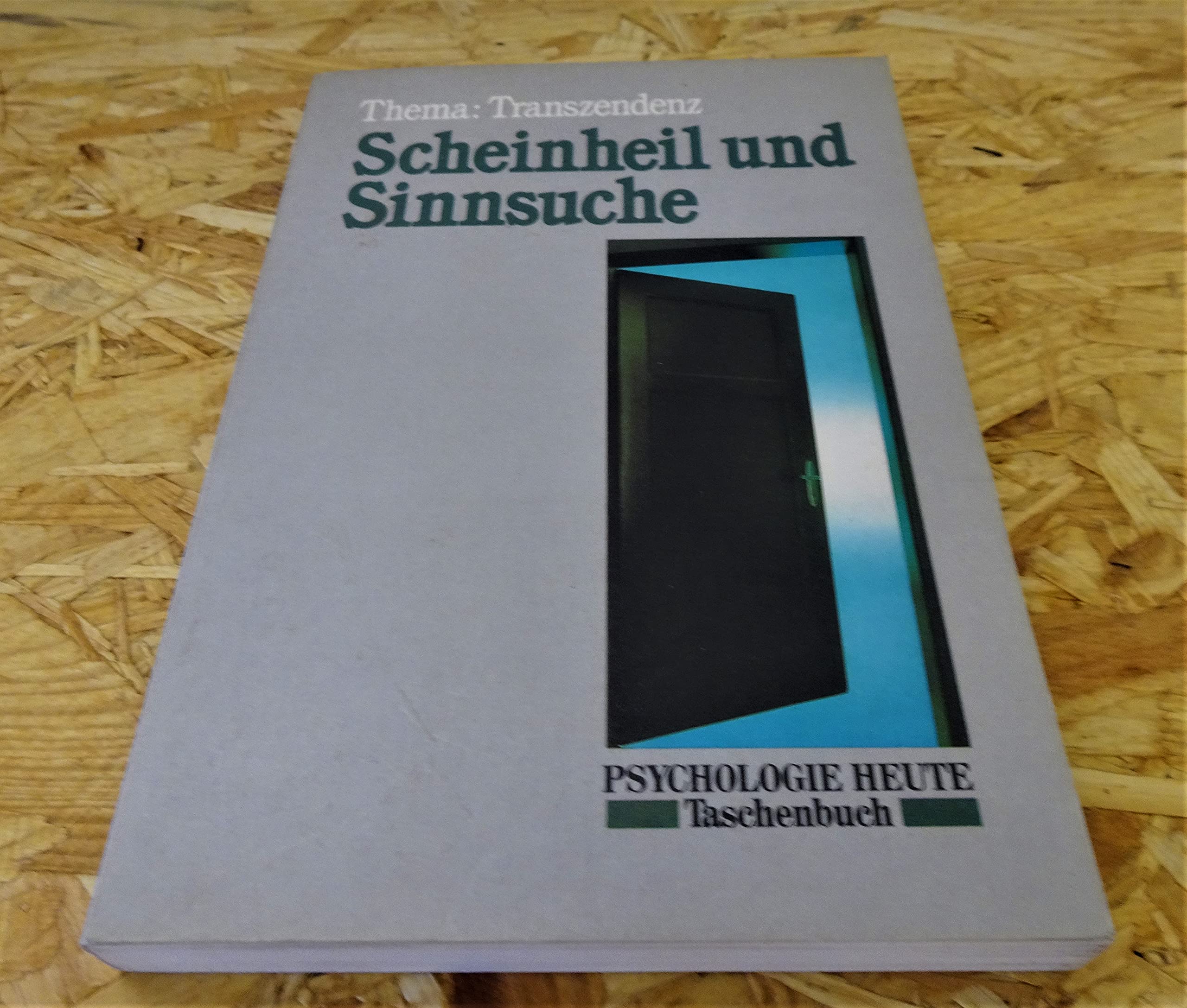 Scheinheil und Sinnsuche: Thema: Transzendenz (Beltz /Quadriga-Taschenbuch) Religion & Esotericism