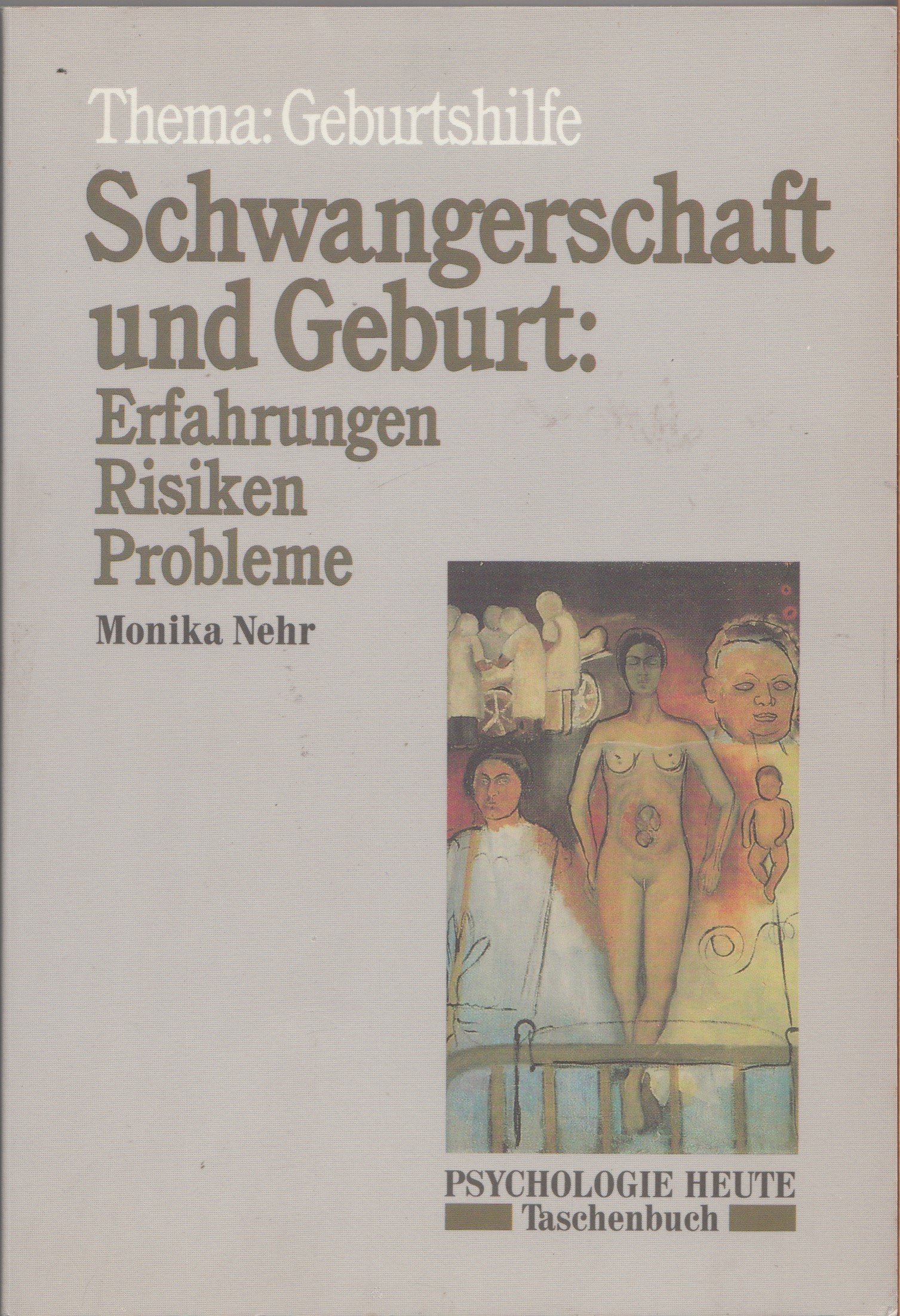 Schwangerschaft und Geburt: Erfahrungen, Risiken, Probleme: Thema: Geburtshilfe (Beltz /Quadriga-Taschenbuch) Health, Nutrition & Fitness