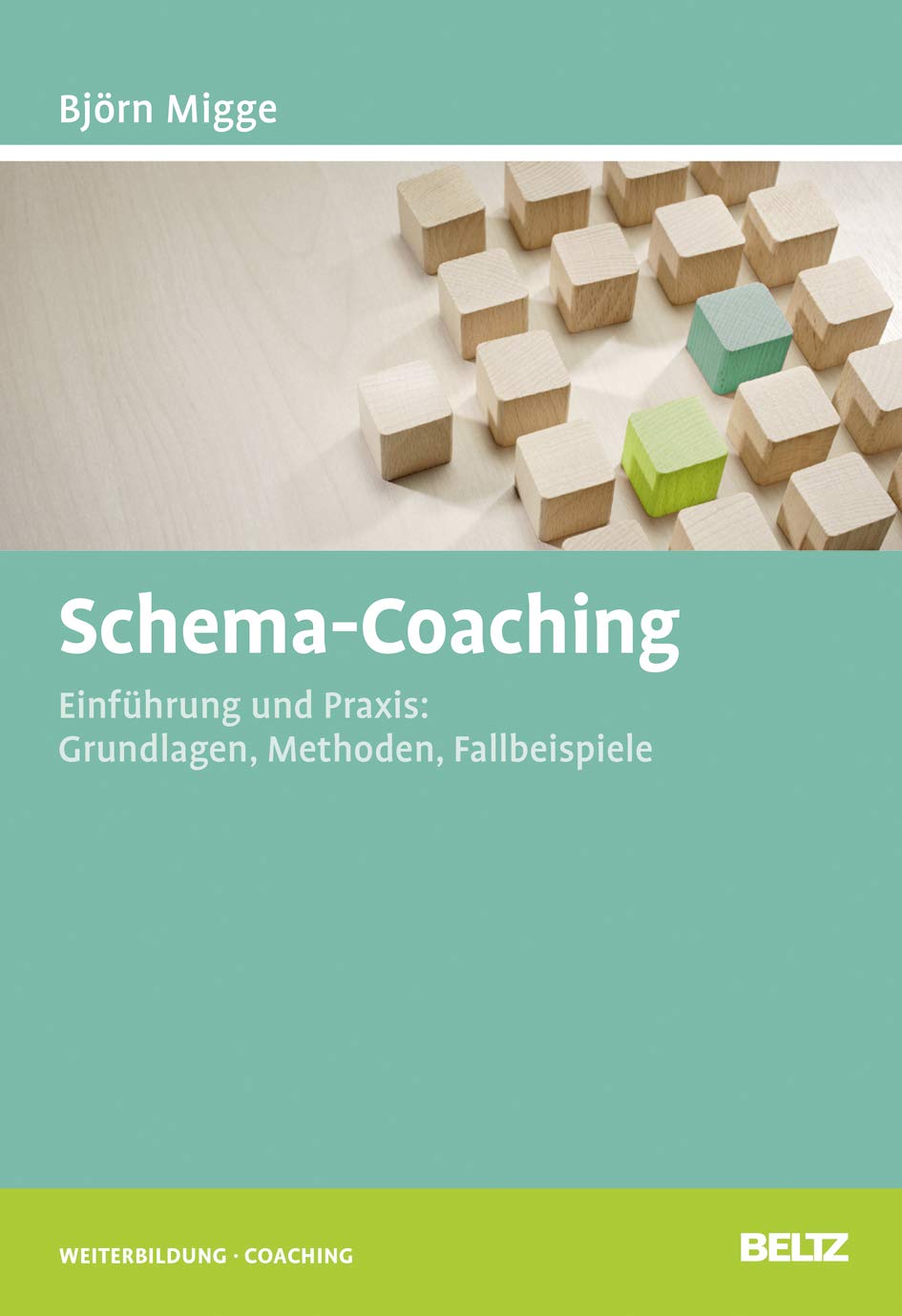 Schema-Coaching: Einführung und Praxis: Grundlagen, Methoden, Fallbeispiele (Beltz Weiterbildung) Business, Finance & Career