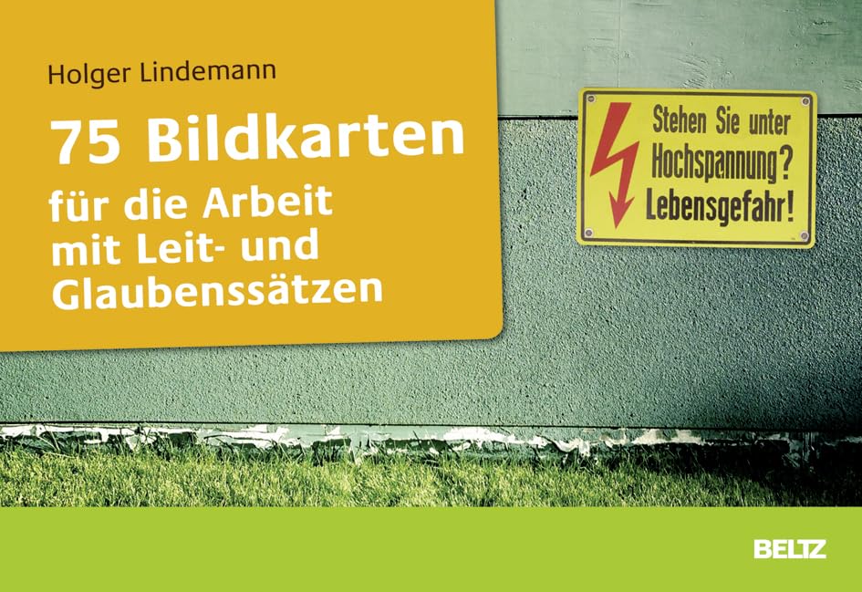 75 Bildkarten für die Arbeit mit Leit- und Glaubenssätzen Business, Finance & Career