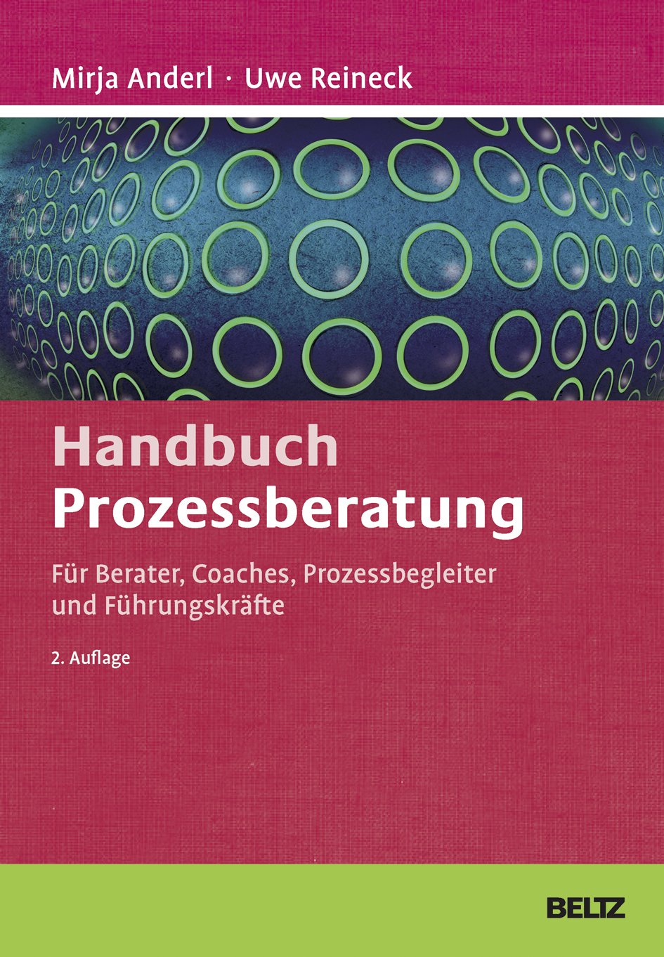 Handbuch Prozessberatung: Für Berater, Coaches, Prozessbegleiter und Führungskräfte (Beltz Weiterbildung) Business, Finance & Career