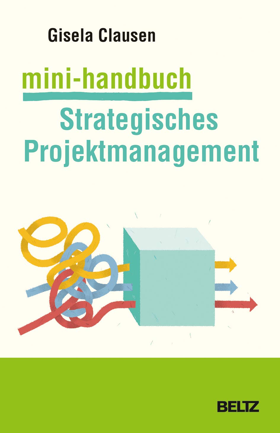 Mini-Handbuch Strategisches Projektmanagement Business, Finance & Career