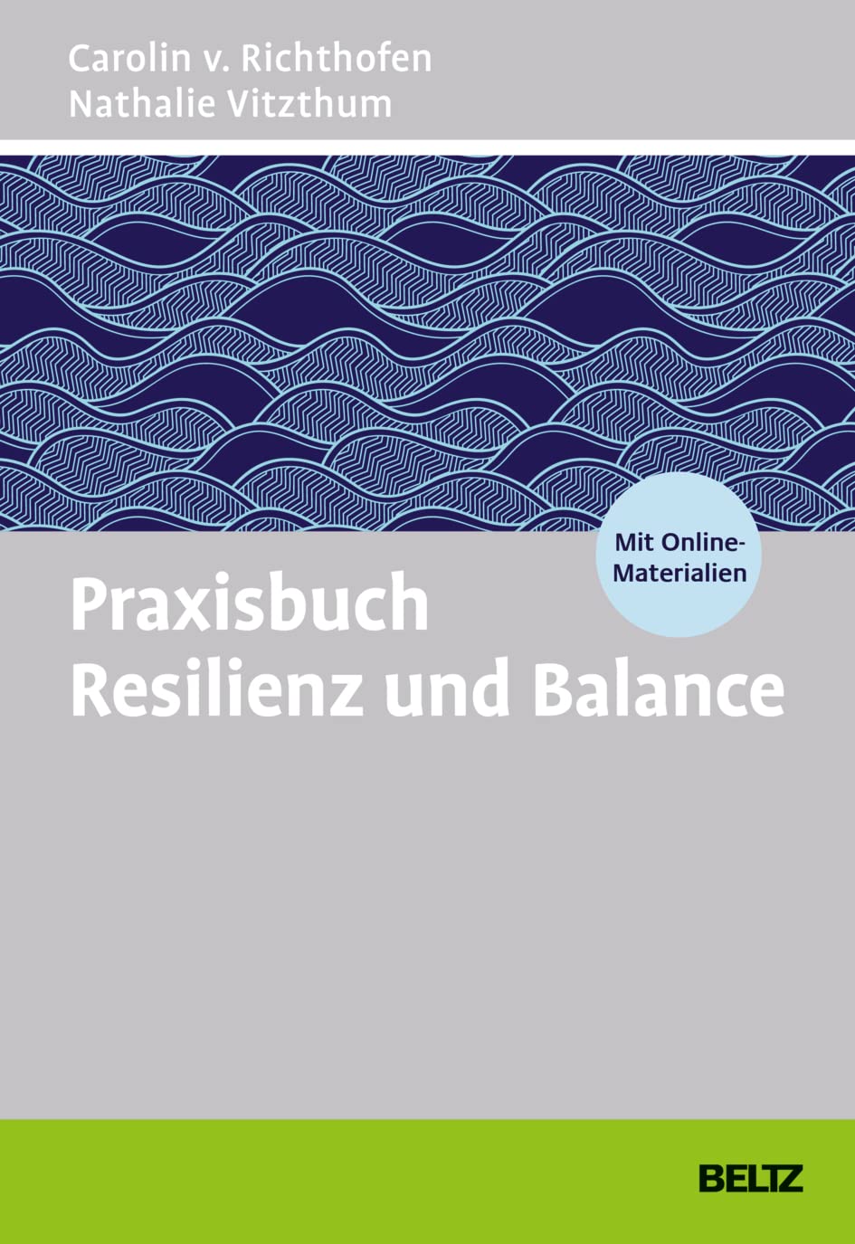 Praxisbuch Resilienz und Balance Business, Finance & Career