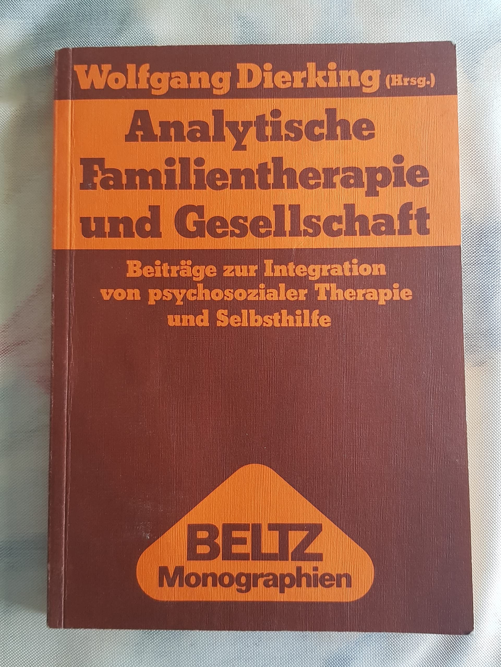 Analytische Familientherapie und Gesellschaft.: Beiträge zur Integration von psychosozialer Therapie und Selbsthilfe. (Beltz Monographien Psychologie) Education & Training