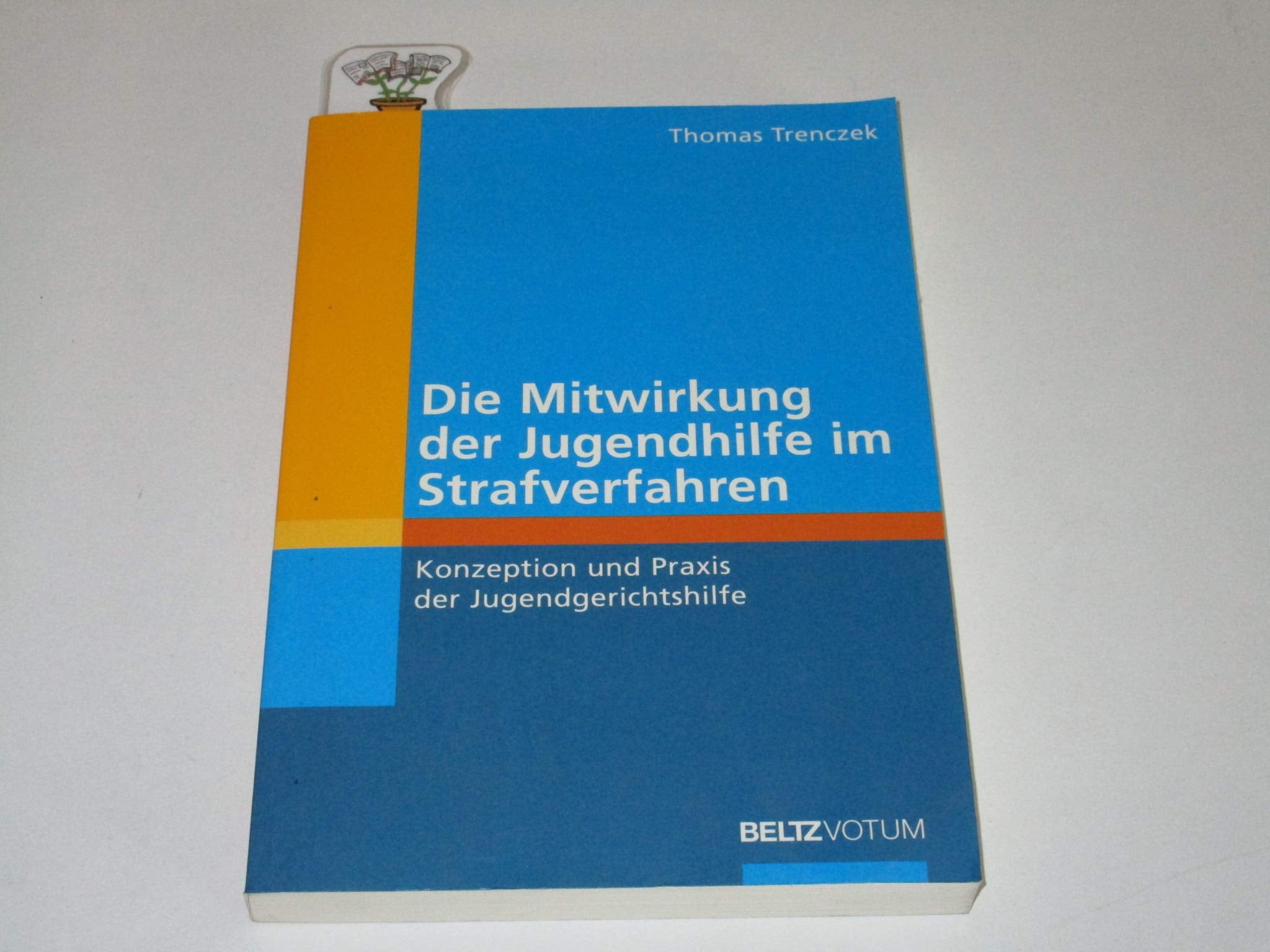 Die Mitwirkung der Jugendhilfe im Strafverfahren: Konzeption und Praxis der Jugendgerichtshilfe Law