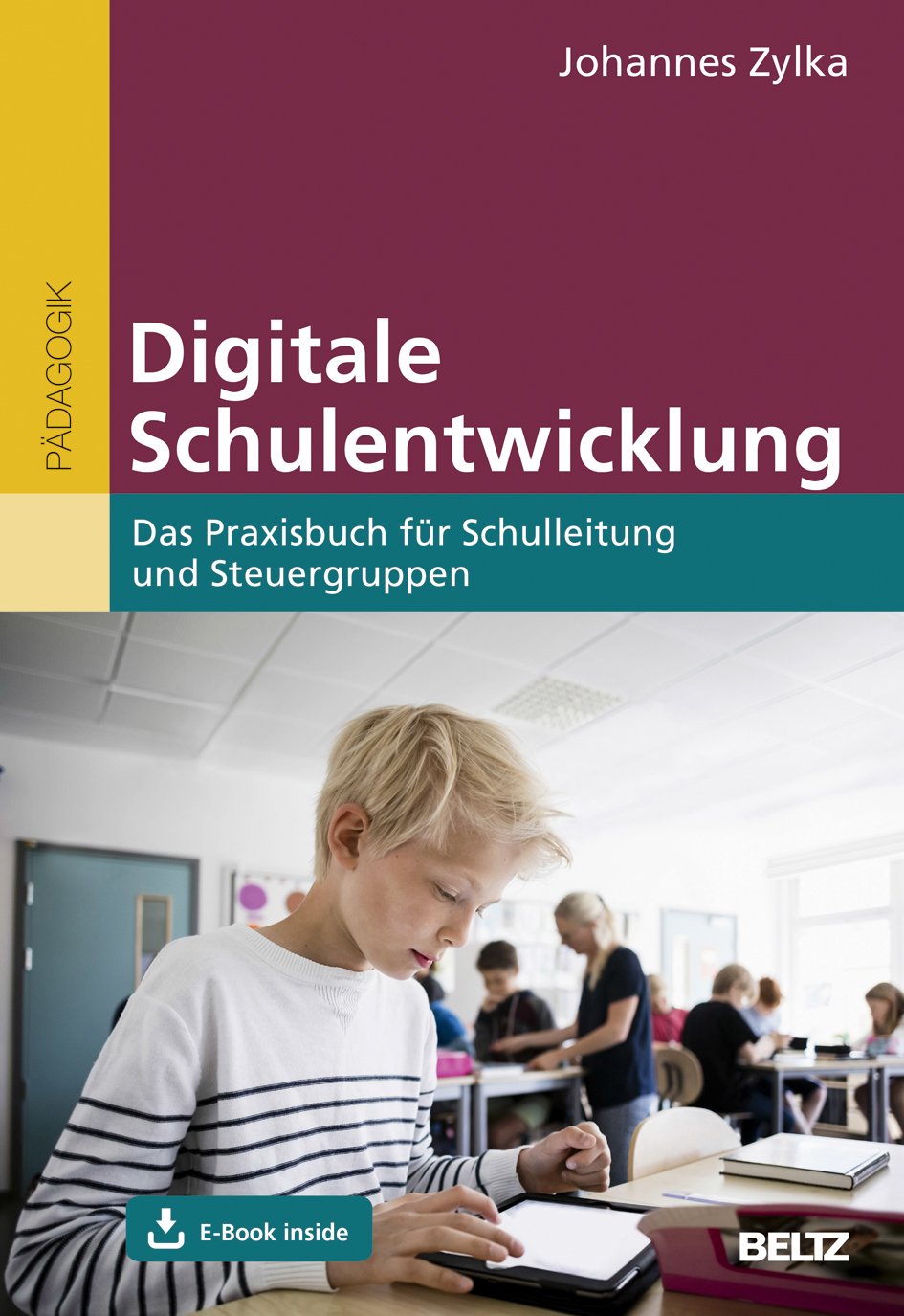Product Image: Digitale Schulentwicklung
