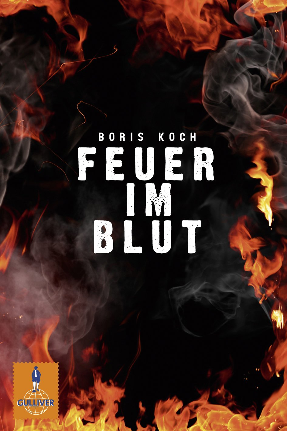 Feuer im Blut Contemporary literature Books