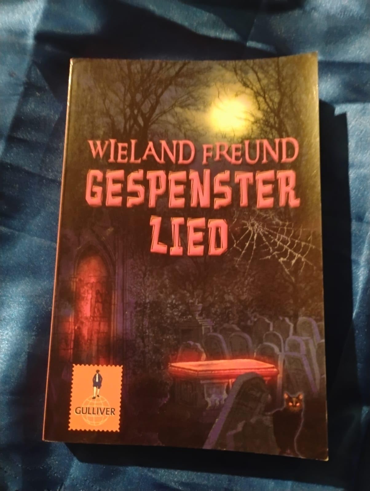 Gespensterlied: Roman (Gulliver) Novels & Short Stories