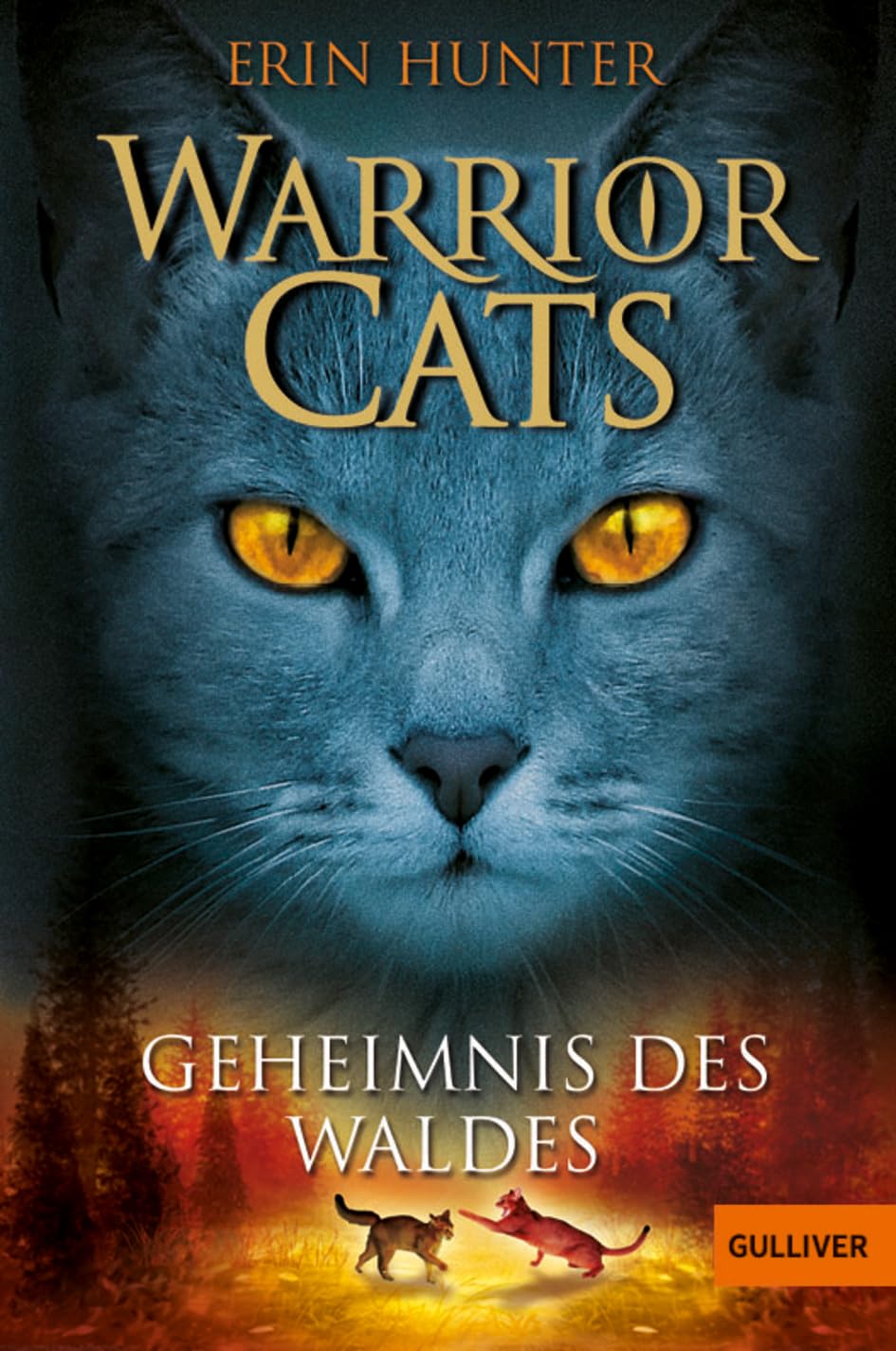 Warrior Cats Staffel 1/03. Geheimnis des Waldes Contemporary literature