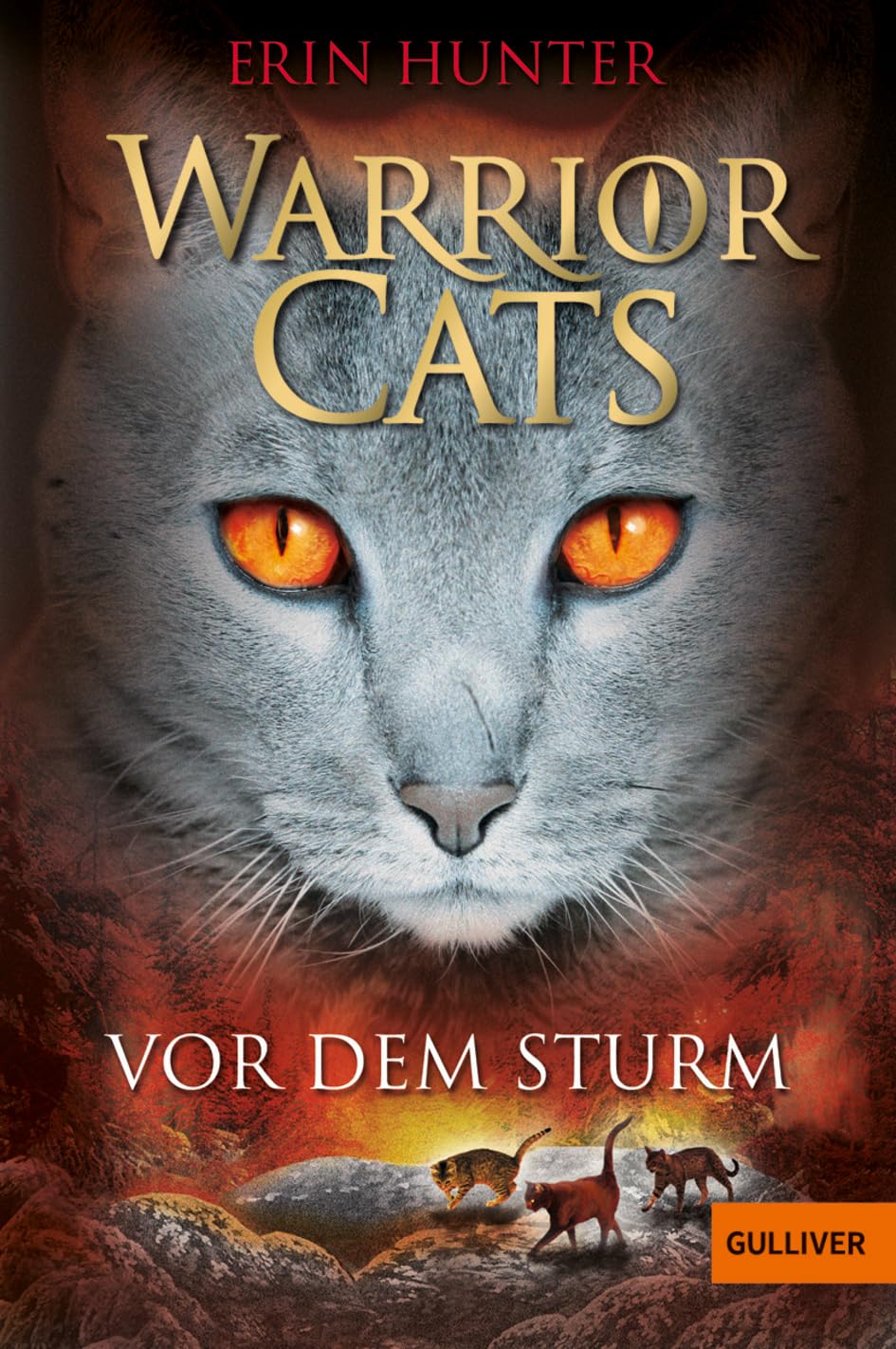 Warrior Cats Staffel 1/04. Vor dem Sturm Contemporary literature