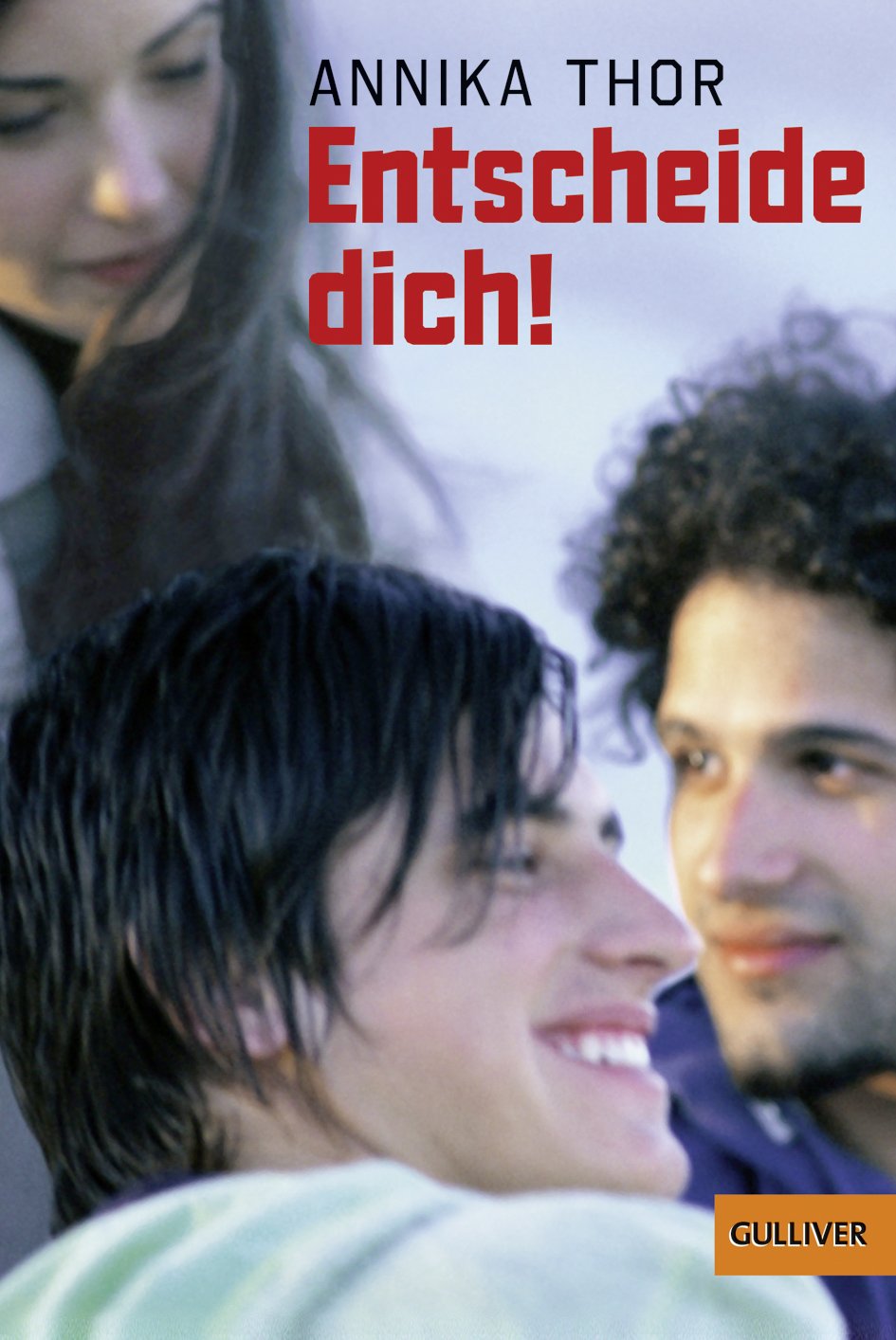 Entscheide dich! Contemporary literature Books