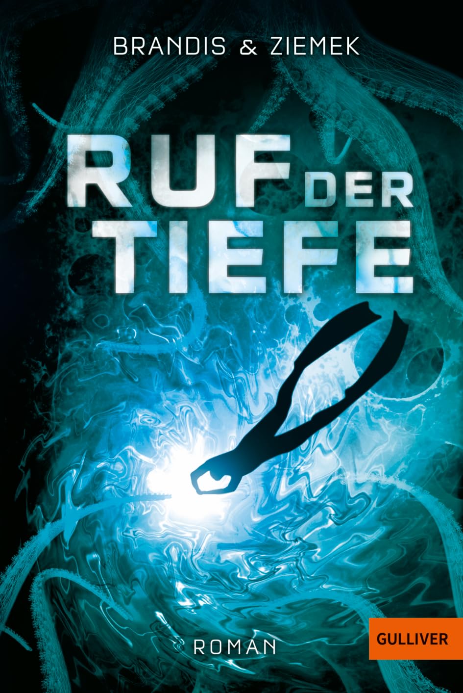 Ruf der Tiefe Business & Technology