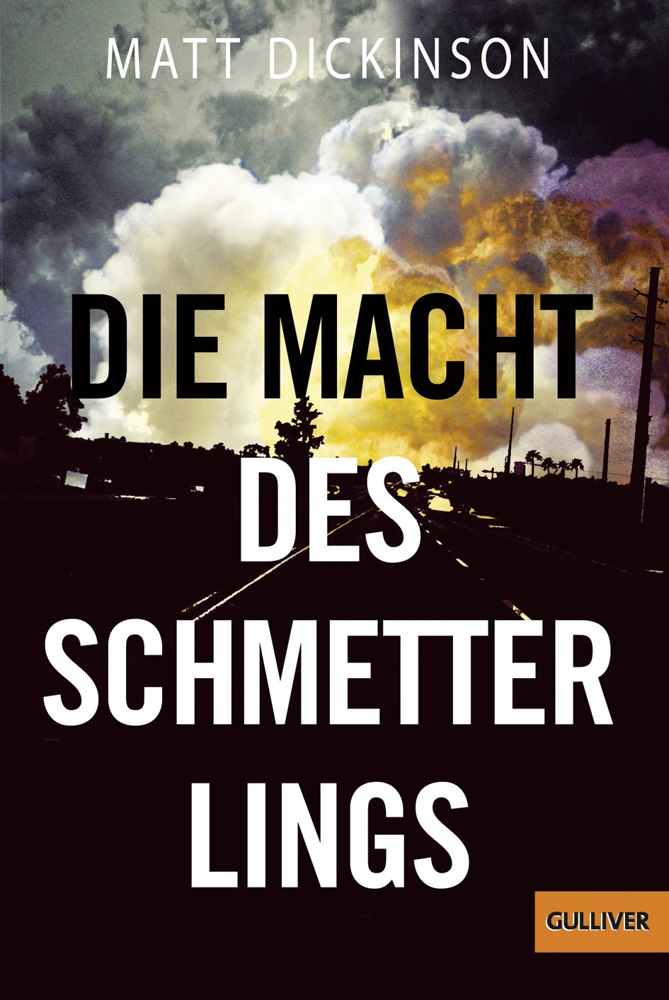 Die Macht des Schmetterlings Fiction