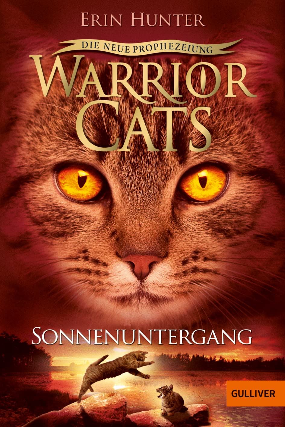 Warrior Cats Staffel 2/06 - Die neue Prophezeiung. Sonnenuntergang Contemporary literature
