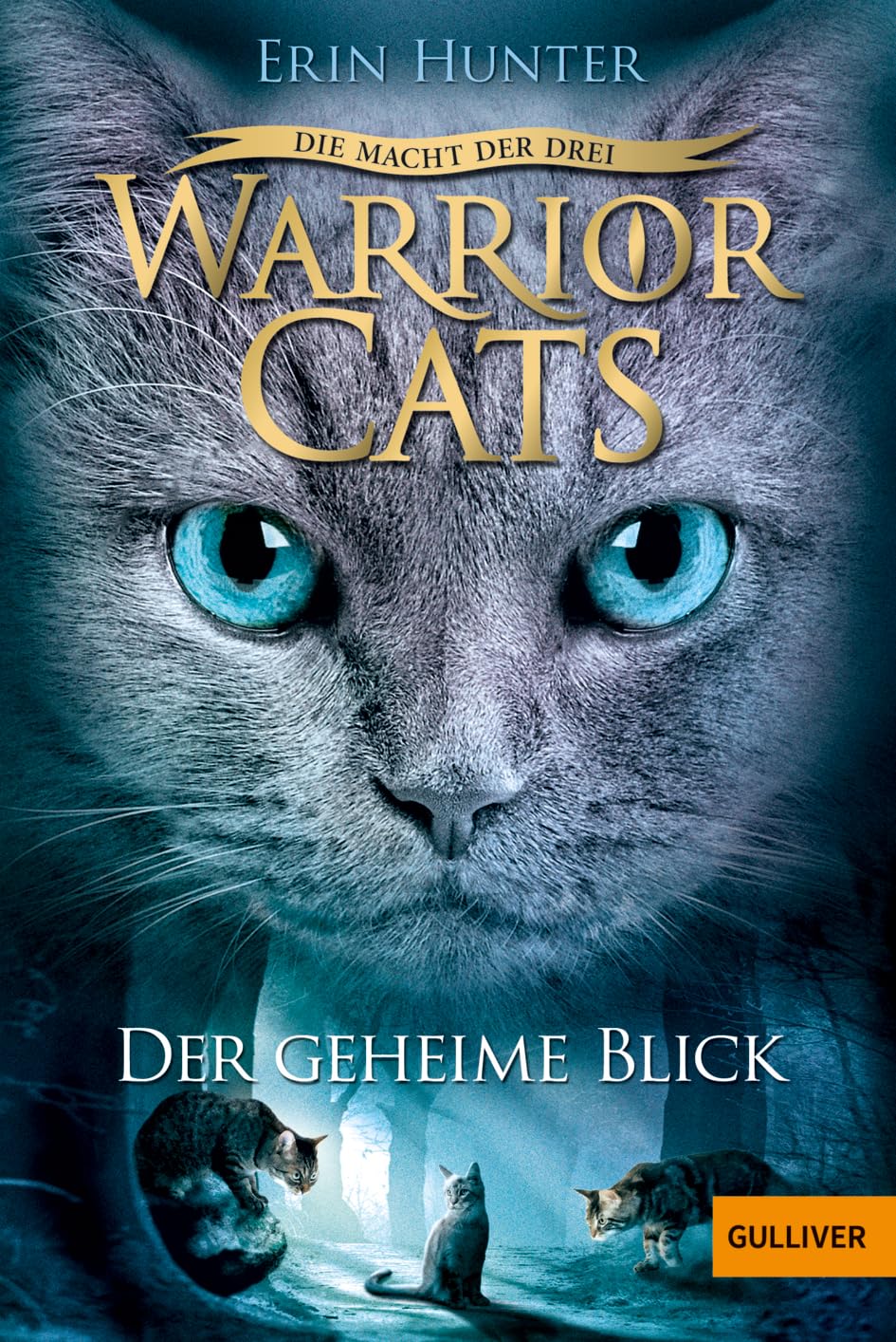 Warrior Cats Staffel 3/01. Die Macht der Drei. Der geheime Blick Contemporary literature