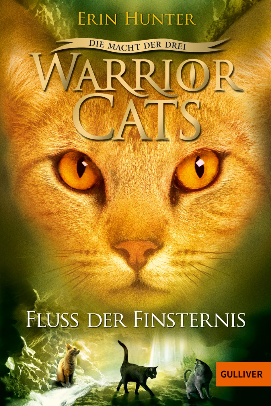 Warrior Cats Staffel 3/02. Die Macht der Drei. Fluss der Finsternis Contemporary literature