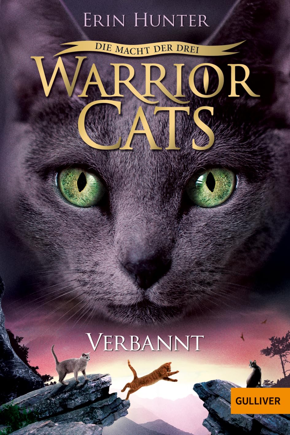 Warrior Cats Staffel 3/03. Die Macht der Drei. Verbannt Contemporary literature