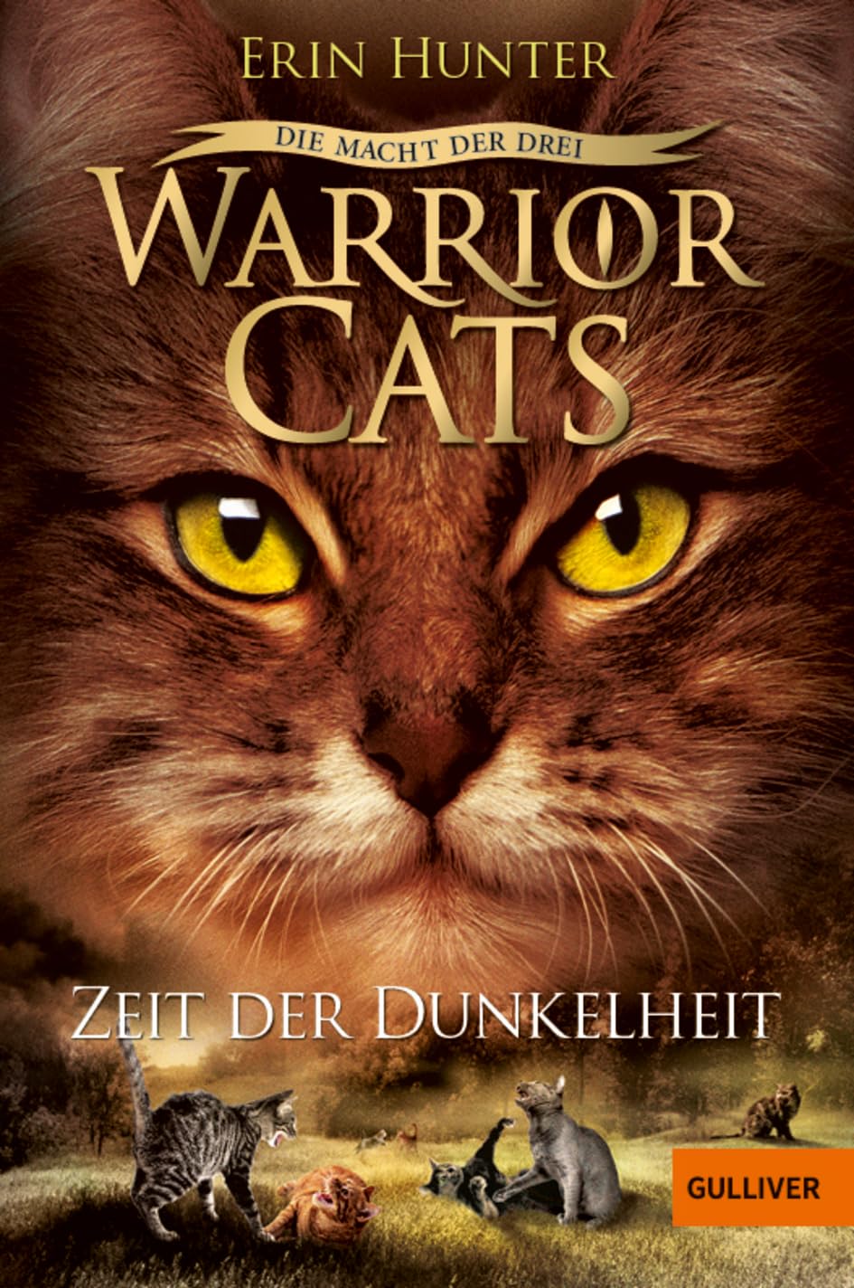 Warrior Cats Staffel 3/04. Die Macht der drei. Zeit der Dunkelheit Contemporary literature