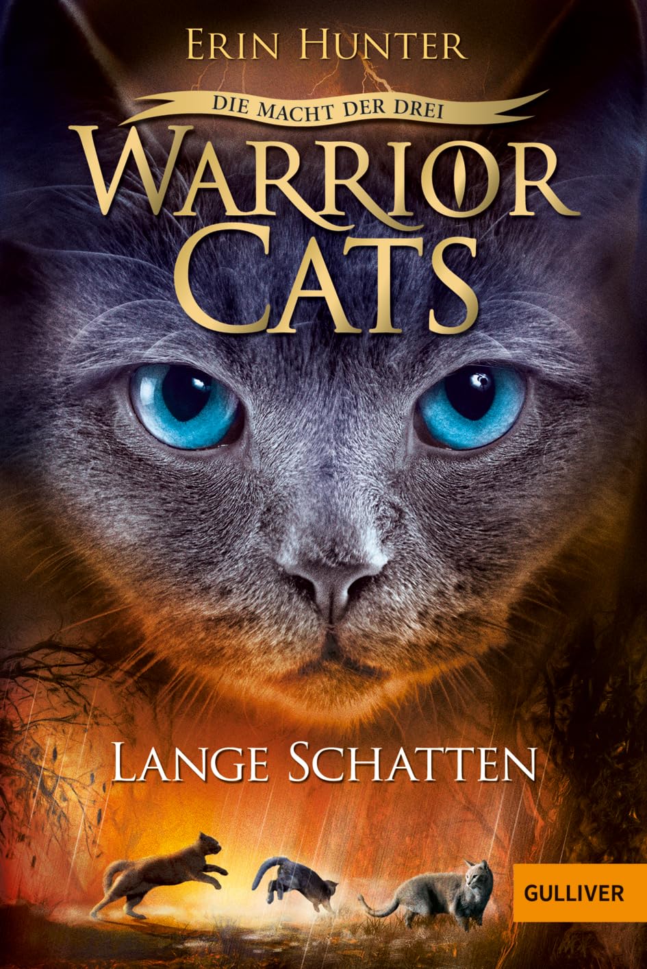 Warrior Cats Staffel 3/05. Die Macht der drei. Lange Schatten Contemporary literature