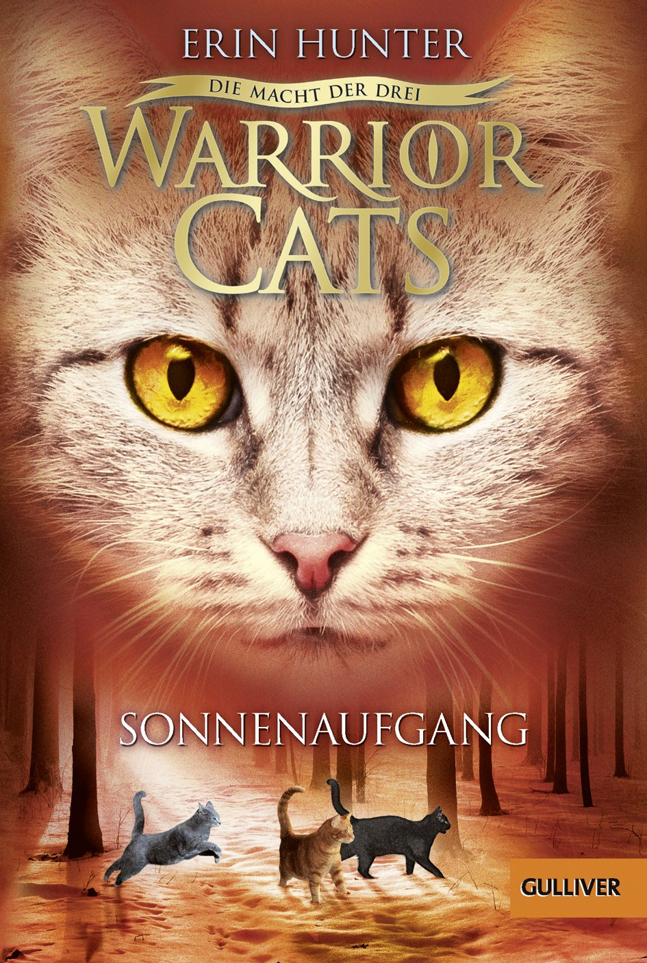 Warrior Cats Staffel 3/06. Die Macht der drei. Sonnenaufgang Contemporary literature