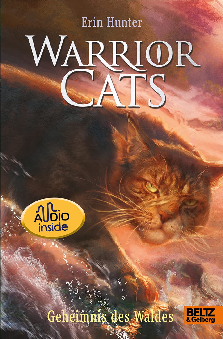 Warrior Cats. Die Prophezeiungen beginnen - Geheimnis des Waldes Non-fiction