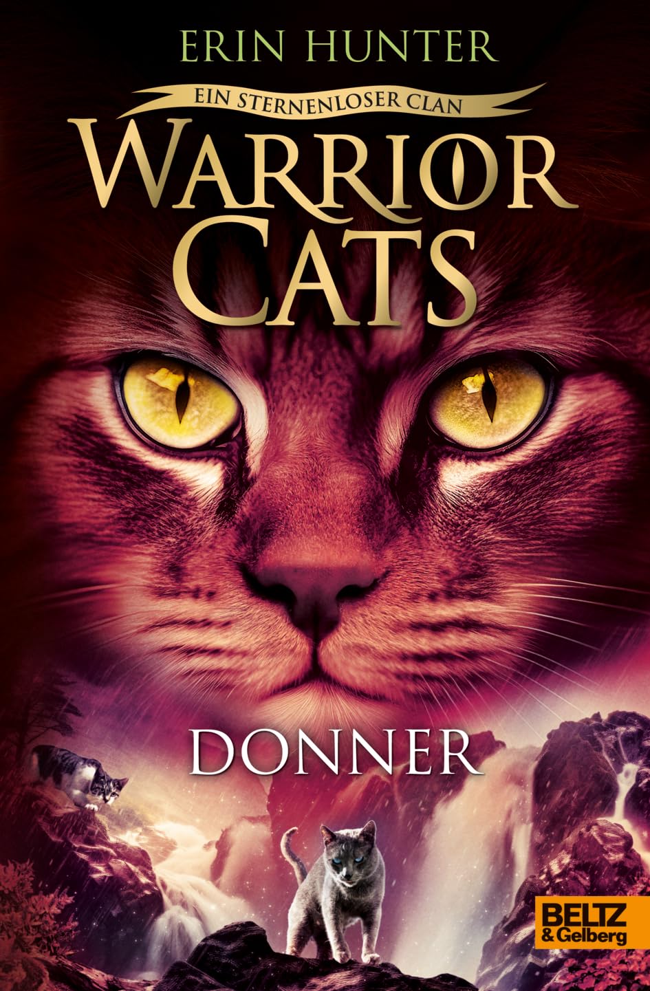 Product Image: Warrior Cats - Ein sternenloser Clan. Donner