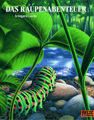 Das Raupenabenteuer: Bilderbuch (MINIMAX) Non-fiction