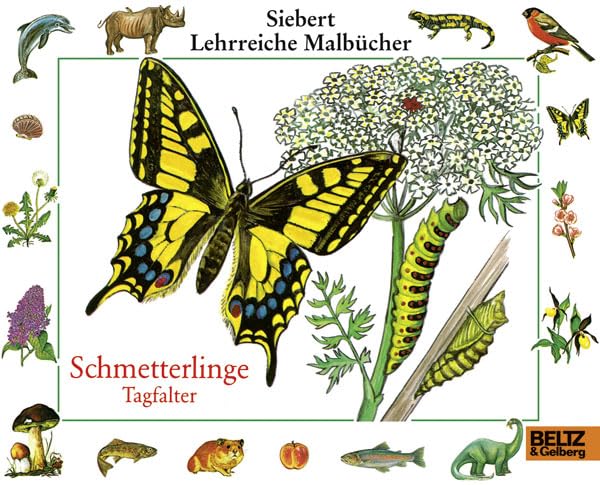 Schmetterlinge - Tagfalter: Malbuch (Siebert Lehrreiche Malbücher) Non-fiction