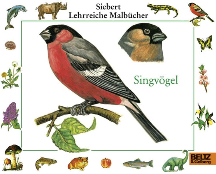 Product Image: Singvögel: Malbuch (Siebert Lehrreiche Malbücher)