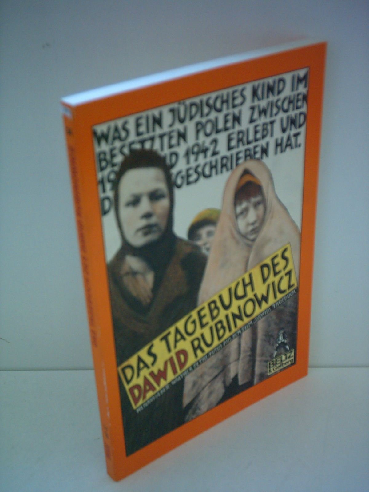 Das Tagebuch des Dawid Rubinowicz (Gulliver) Fiction