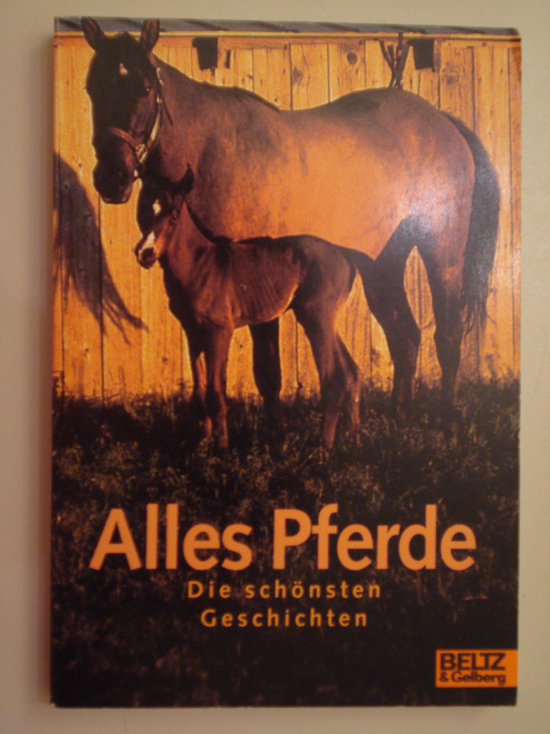 Alles Pferde: Geschichten über Geschichten (Gulliver) Books