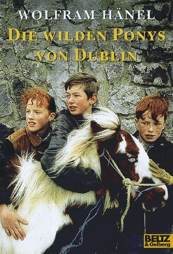 Die wilden Ponys von Dublin: Roman (Gulliver) Fiction
