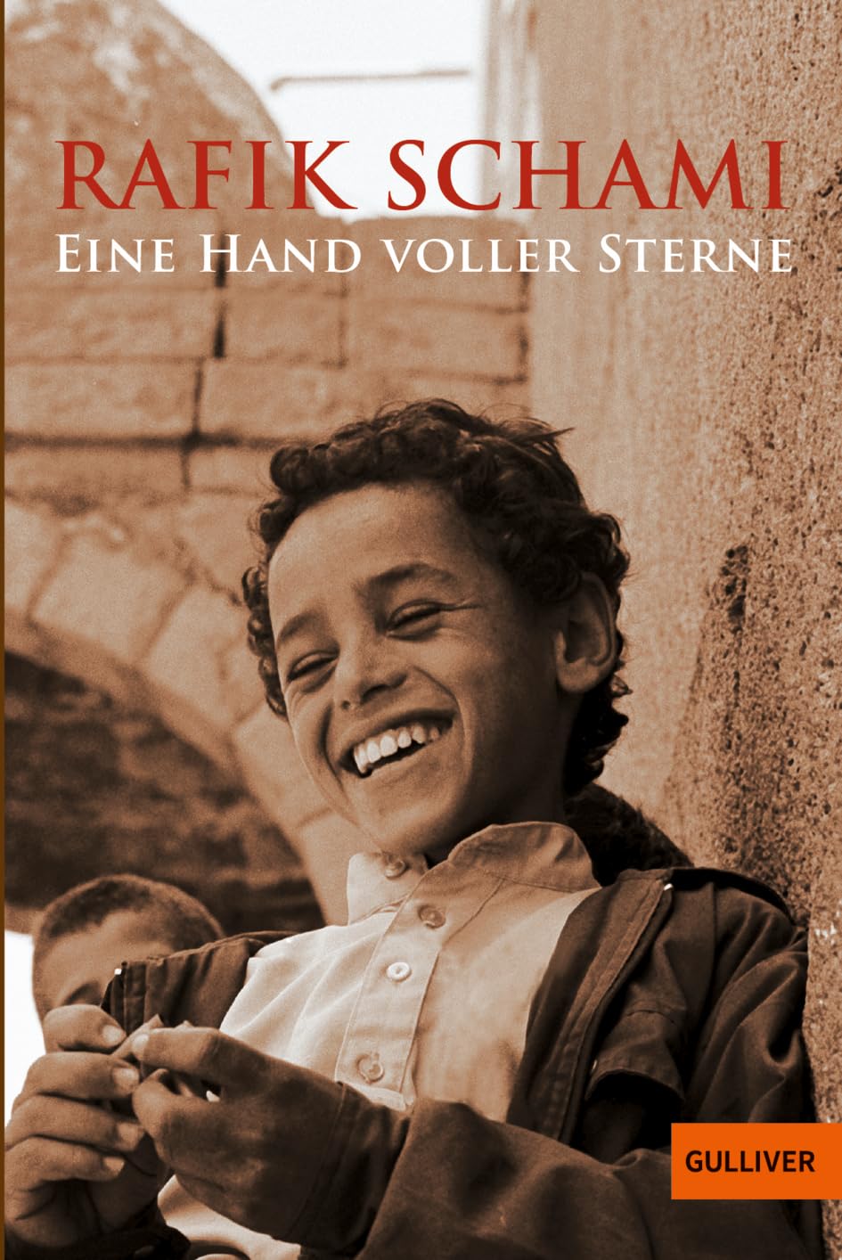 Eine Hand voller Sterne Contemporary literature Books