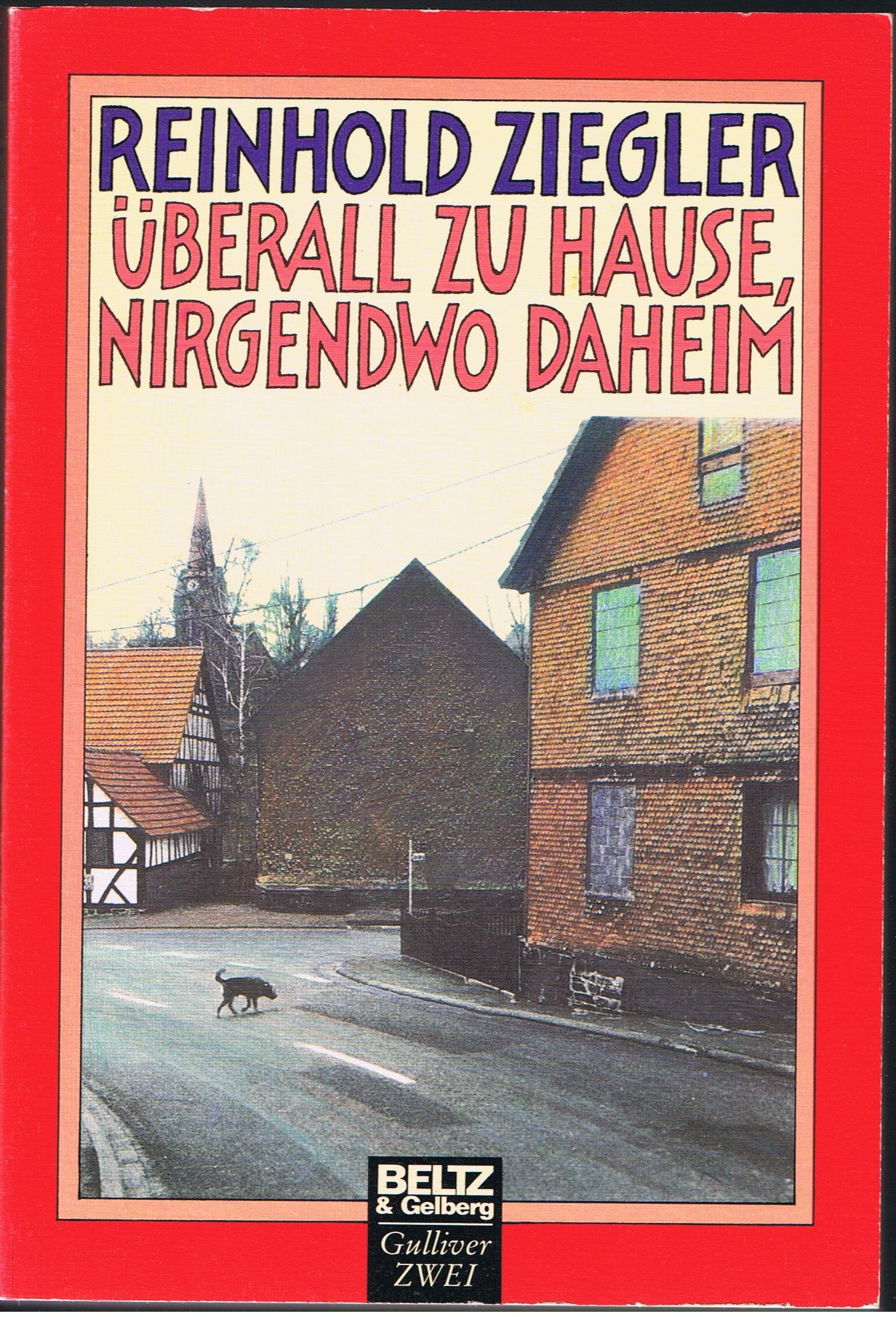 Überall zu Hause, nirgendwo daheim: Roman (Gulliver) Fantasy & Sci-Fi