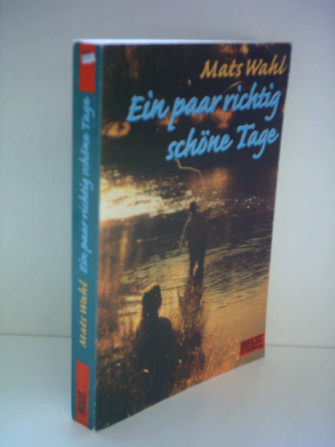 Ein paar richtig schöne Tage: Roman (Gulliver) Books