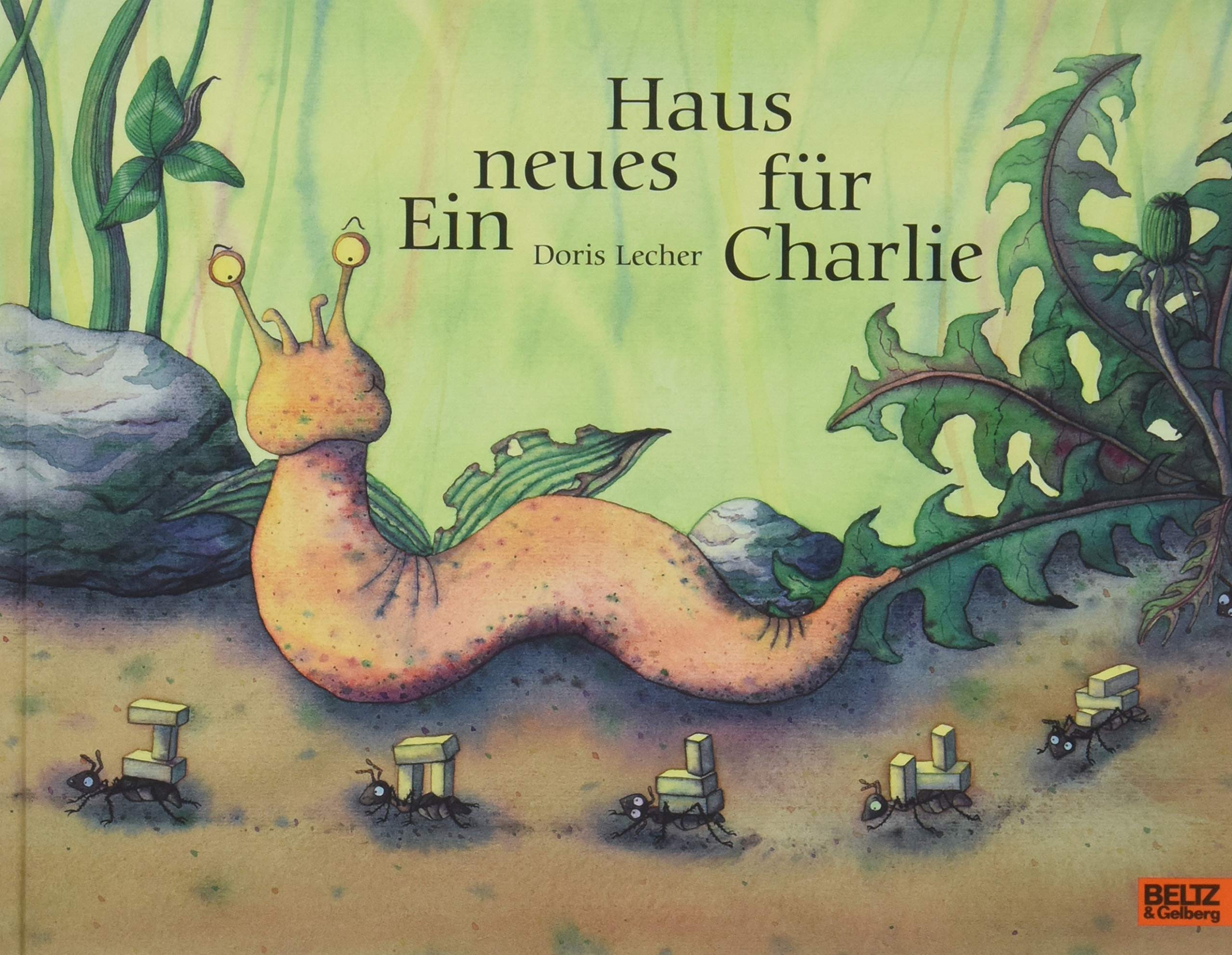 Ein neues Haus für Charlie Politics & History