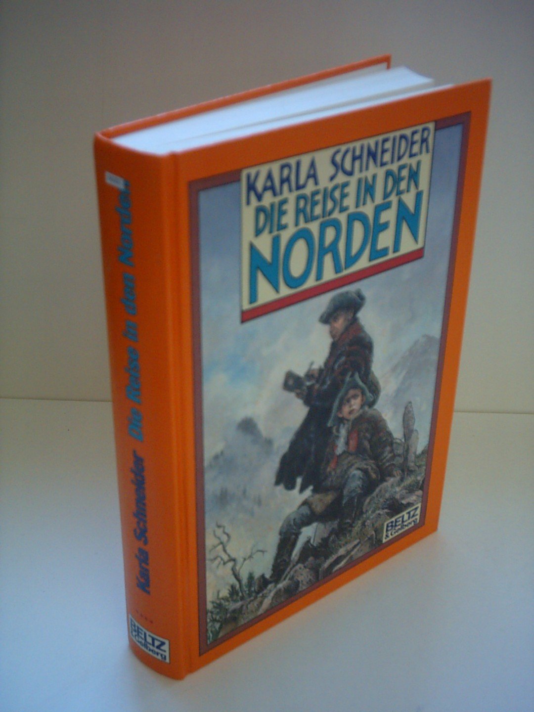 Die Reise in den Norden: Roman (Beltz & Gelberg) Contemporary literature