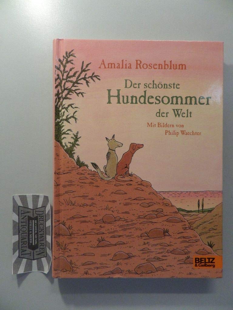 Der schönste Hundesommer der Welt: Roman Novels & Short Stories