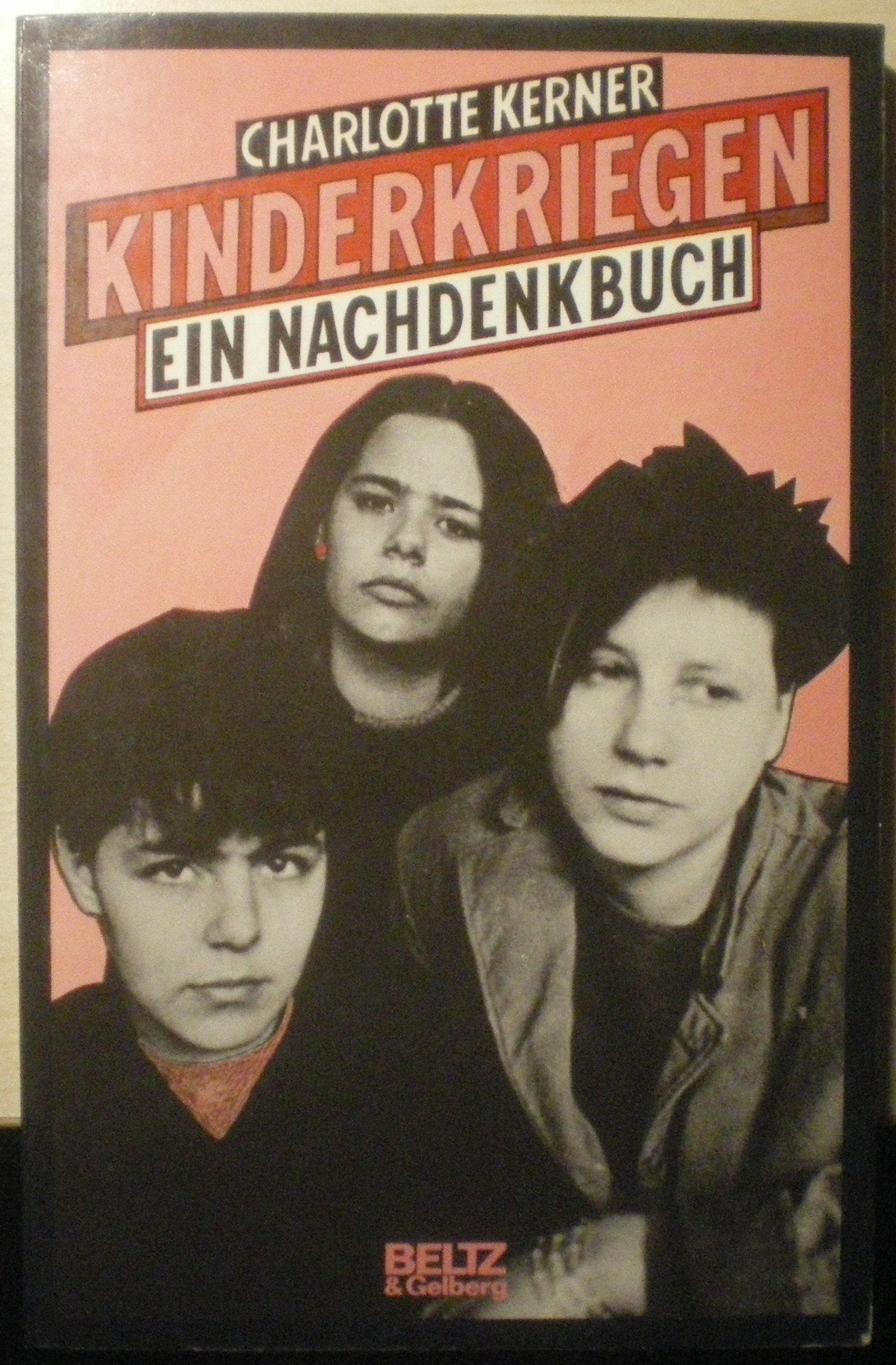 Kinderkriegen: Ein Nachdenkbuch (Beltz & Gelberg) Politics & History