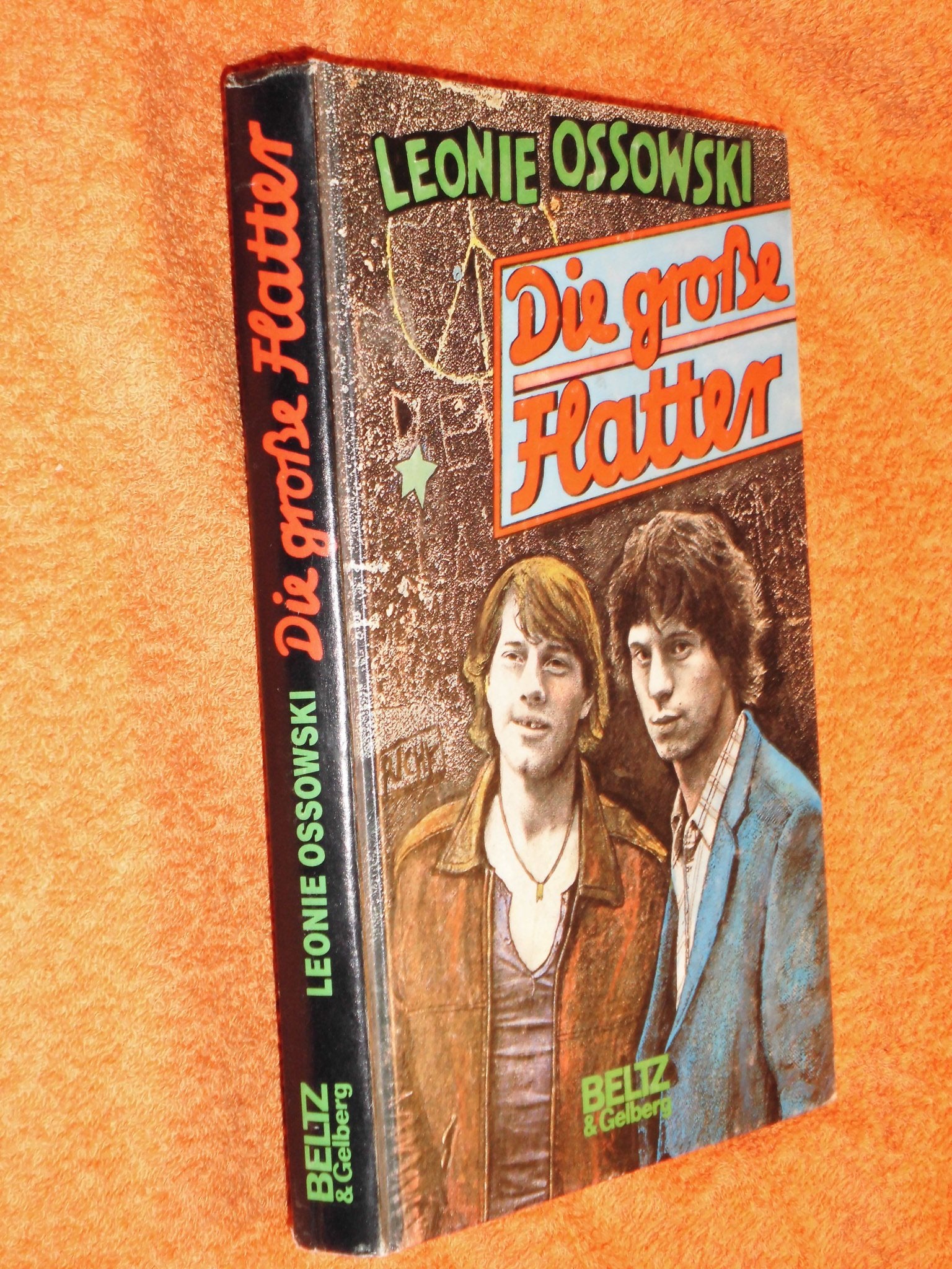 Die große Flatter: Roman (Beltz & Gelberg) Contemporary literature